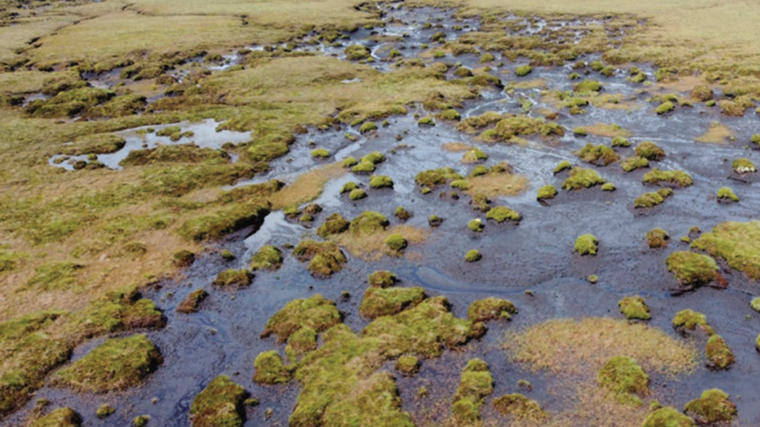 image-89ae24ecc6be2029d54439c91b1580e7cff2ed8f-936x733-png