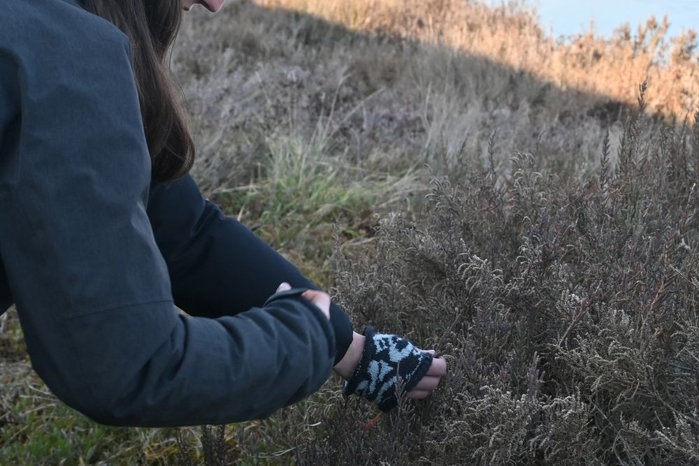 image-4ec9207622416dc90650c0d950fed3d0e8a8ec20-3712x5568-jpg