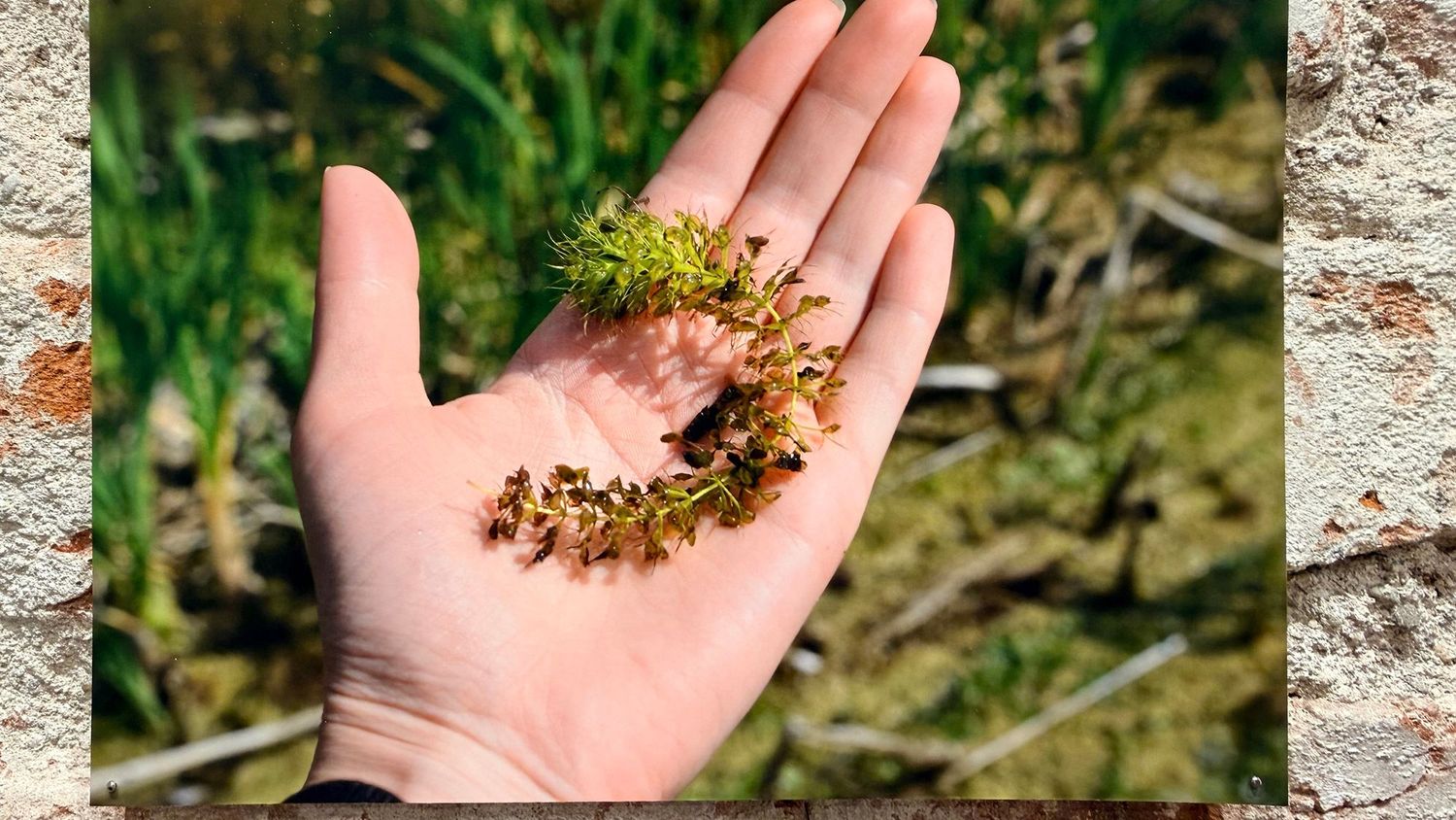 image-c2546a85e19536e4f71115635a5377e18cc0004c-2500x1827-jpg