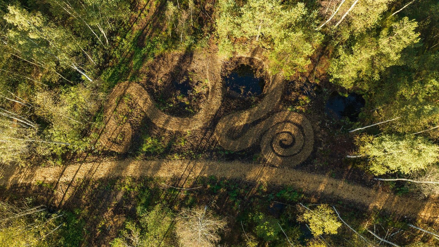 image-da13384ae79e814cc1bdcac18741259734e4c128-5280x3956-jpg