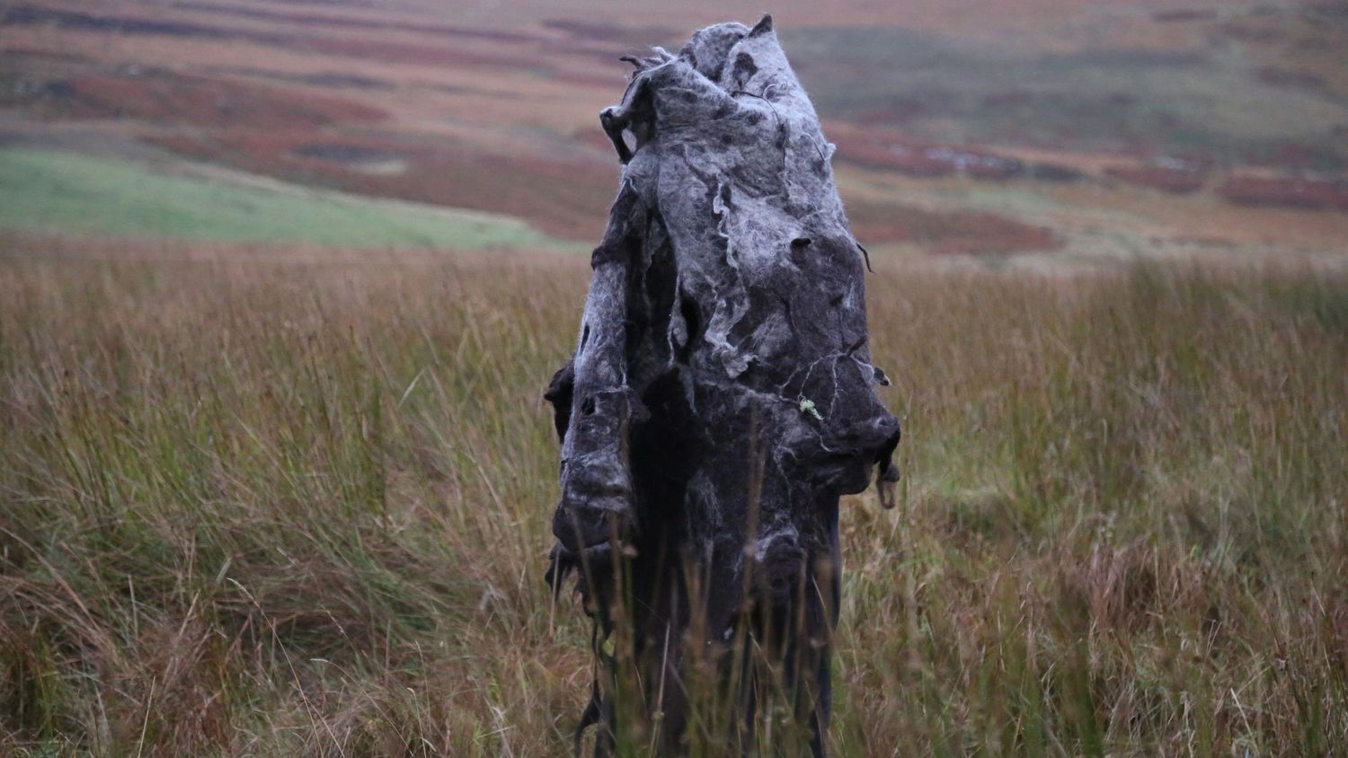 image-a1a15b5d8133d2507c81468362290997e41ed10d-5760x3840-jpg