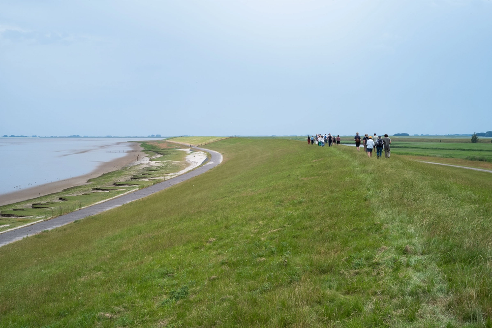 image-01f768658cac8bb545c8156f2ffc45d12ba71d94-3000x2000-png