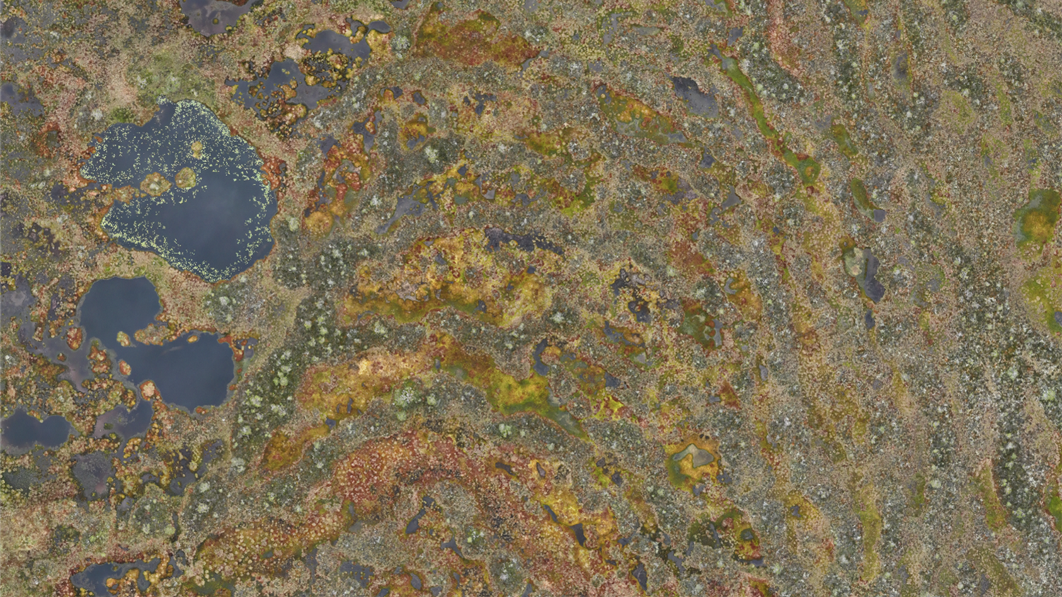 image-3d632c9d92a759ebef40f4b573dc7755f2dc1256-1372x772-tif