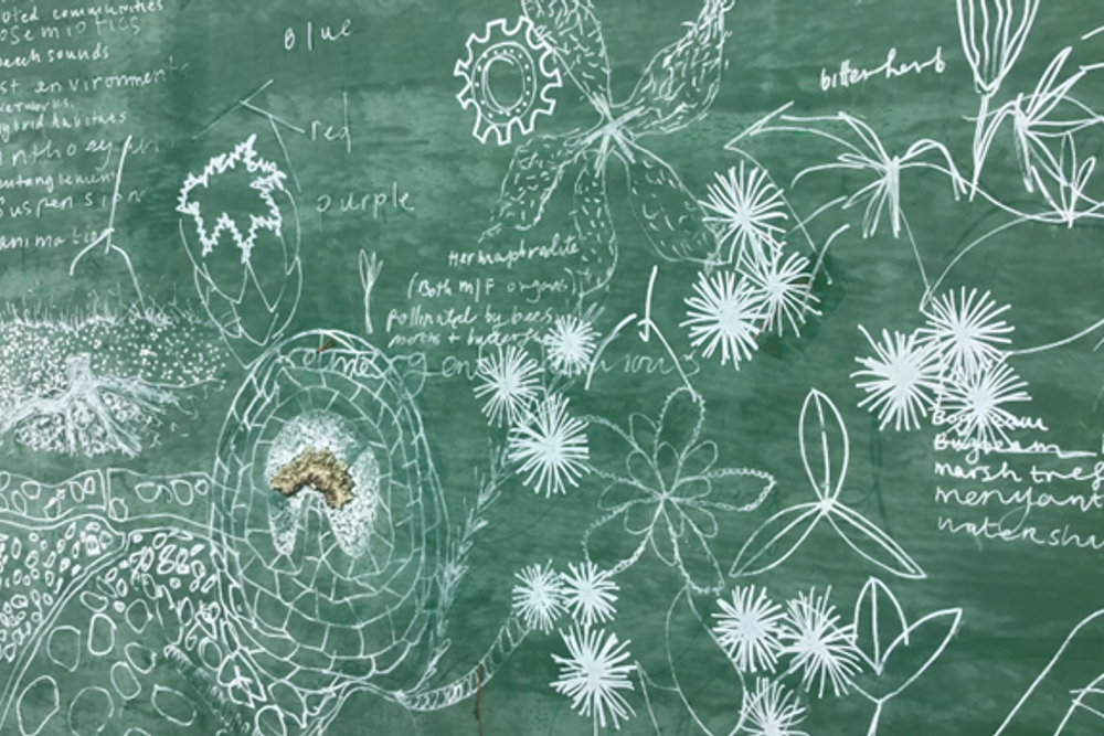 image-686f6058751589730edd683c839e730107f2309f-576x412-png