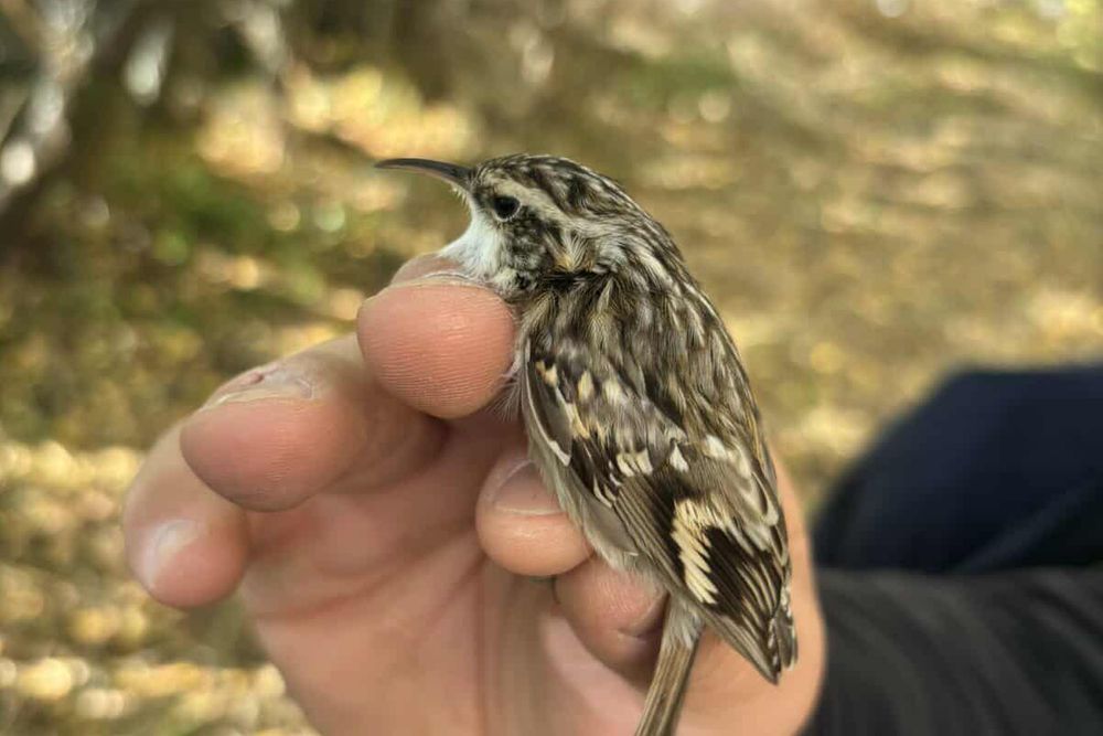 image-3b187f7d8e983a62449bb690fc5b789fed3fbcac-1200x1600-jpg