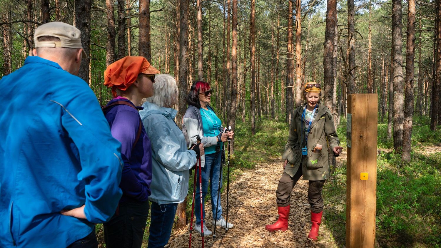 image-375bc7a8939dcf41c0c4a00e1ba3ba9c52dabdce-6000x4000-jpg