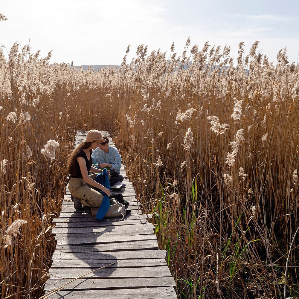 image-504399919822621c13a7d58f9092933aa061da61-1613x1068-jpg