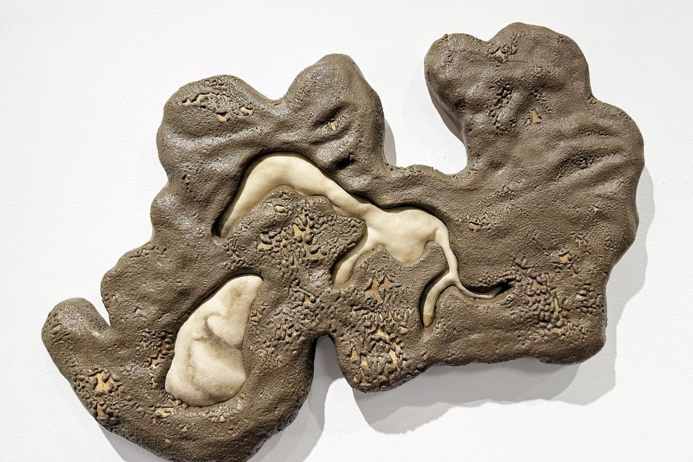 image-b45da313194c99d2f356397b0b63584b7edaa4d1-2500x2010-jpg